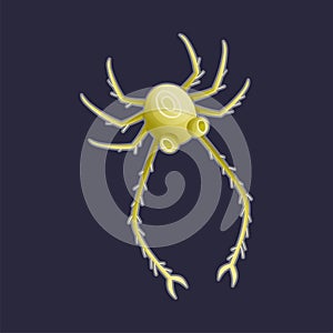 Green Plankton Water Organism Free Floating on Dark Background Vector Illustration