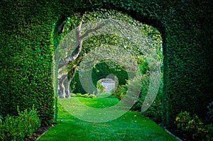 Green plant arches in english countryside garden