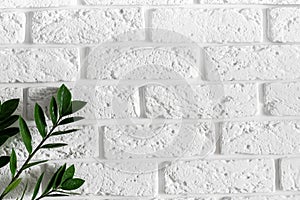 Green plant branch on white brick wall modern home interior design background