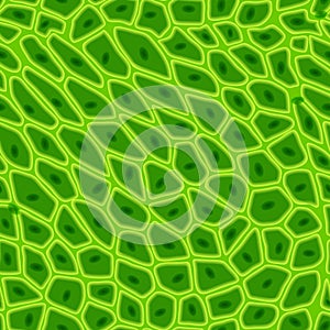 Green plant cell texture under a microscope or abstract nature seamless pattern