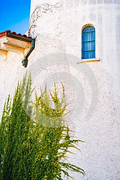 Green plant climbing horizontal wall