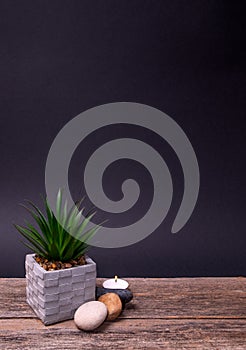 Green plant in a decorative gray, square pot with a white candle and round stones on a wooden base and a dark background. Text