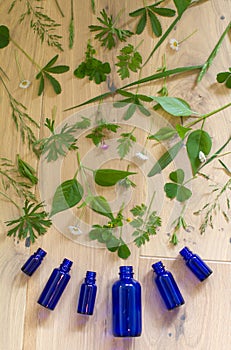 green plant essential oils splashing from, introducing into fragrance bottles