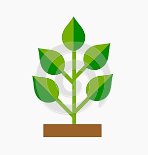 Green plant flat desgin symbol. Plant icon