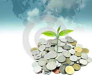 Green plant growing on money coins under world map background