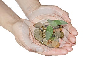 Green plant grows from coins in hands. Money concept.