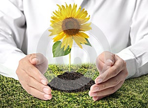 green plant in hand