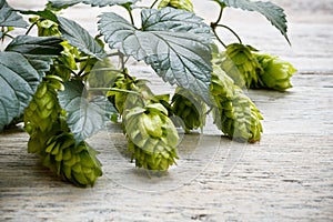 Green plant hops