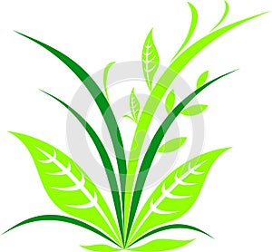 Green plant icons. Vector simple logo.