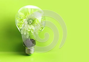 Green plant inside light bulb