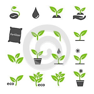 Green plant and leave color icons set