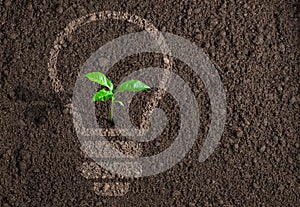 Green plant in light bulb silhouette on soil