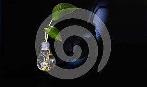 Green plant living in a light bulb photo