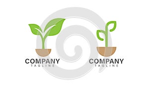 Green plant logo design