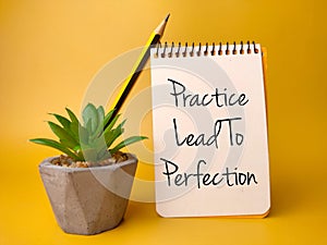 Green plant and notebook with the word Practice Lead To Perfection