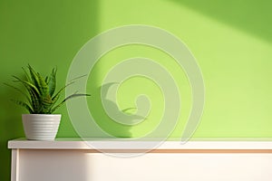 Green plant in a pot. Shelf with a plant in a white pot and green wall background.