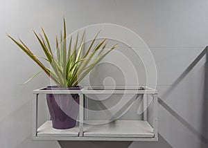 A green plant in a purple pot stands on an iron shelf nailed to a wall