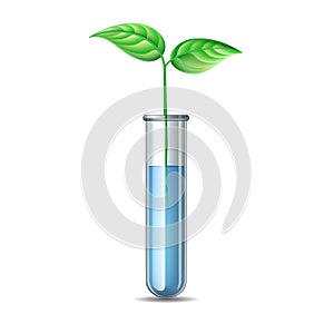 Green plant sprout in tube. Biotechnology, Health, Medical, Lab or Pharmacy Nature concept.