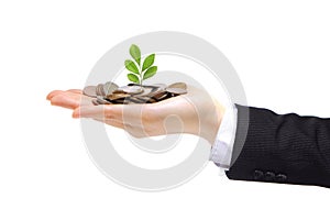 Green plant sprouting from hand with money