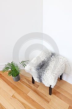 Green plant and stool covered with sheepskin in the room corner