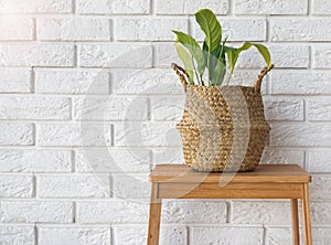 Green plant in a straw basket near the white brick wall