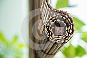 Green plant with traditional style bamboo curtain background