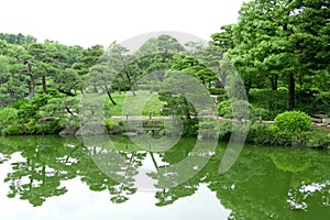 Green plant, tree and lake in zen garden