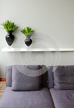 Green plant in vase with comfortable sofa