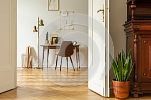 Green plant by white door into a freelancer`s home office interior with golden, industrial floor lamp by a wooden desk