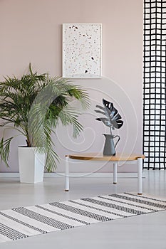 Green plant in white pot next to coffee wooden table with black leaf in black vase, real photo with poster on empty wall