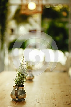 Green plant on a wooden desk