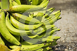 Green plantain or maduro photo