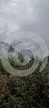 Green plants in cloudy mountain with water drops, raining.