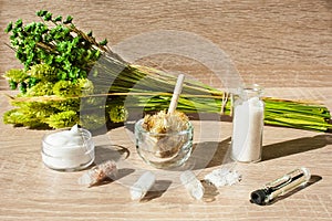 OF GREEN PLANTS THE CREAM JAR, ESSENTIAL OIL INGREDIENTS FOR THE SCRUB, SEA SALT. THE CONCEPT OF NATURE COSMETICS