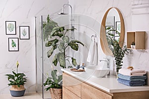 Green plants in elegant bathroom. Interior design