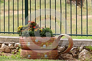 Green plants and flowers grow in a flower pot.