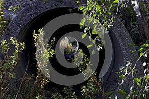 Green plants in front of the animal tunnel with a view to the end of the pipe