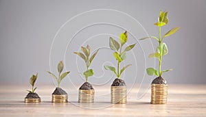 Green plants growing on golden coins. Investment. Profit. Growth. Success