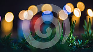 Green plants are illuminated by colorful bokeh lights in the background, creating a vibrant and peaceful atmosphere. photo