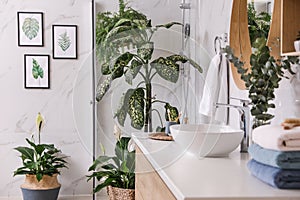 Green plants in modern bathroom. Interior design