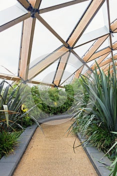 Green plants at modern crossrail place roof garden in Canary Wharf