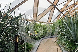 Green plants at modern crossrail place roof garden in Canary Wharf