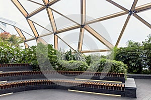 Green plants at modern crossrail place roof garden in Canary Wharf