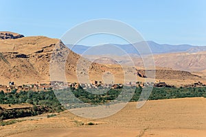 Green plants in morocco dades valley