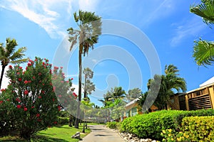 Green plants with red and yellow flowers and blue sky with white clouds.