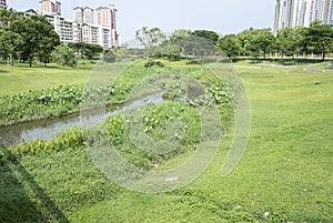 Green plants beside the river in a park with residencial