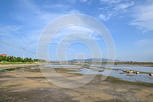 The green plants on the saline alkali land and the water reflect the scenery