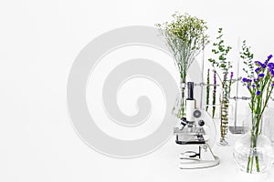 Green plants and scientific equipment in biology laborotary. Microscope with test tubes / glass containers and clamp and green