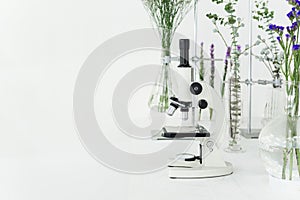 Green plants and scientific equipment in biology laborotary. Mic