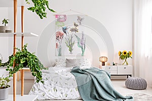 Green plants on shelves beside a bed dressed in white cotton bedding and teal blue blanket in a bright bedroom interior